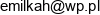 Dj Consulting Email address