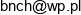 Krzysztof Banach Bnch Email address