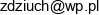 Themontaz Marcin Zdziuch Email address