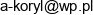 Firma Uslugowa Andrzej Koryl Wypozyczalnia Sprzetu Budowlanego Email address
