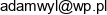 Wylezalek Adam Przedsiebiorstwo Wielobranzowe Adamex Email address