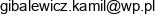 Kamil Gibalewicz Indywidualna Praktyka Lekarska Email address