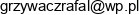 Proit Rafal Grzywacz Email address