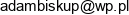 Adam Biskup Mgr Inz Uslugi Geodezyjne Email address