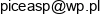 Ms Enter Prise Email 1