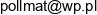 Przedsiebiorstwo Produkcyjno Uslugowe Pro Tex Email 1