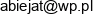 Agnieszka Biejat Diagnostyka Email address