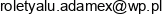 P P H U Adamex Adam Bazgier Adres e-mail