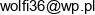 Agencja Artystyczna Wolf Art Piotr Woltman Email address