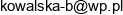 Abk Store Email address