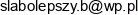 Bartlomiej Slabolepszy Email address