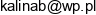 1 Kalina Uslugi Bhp Kalina Bednarz 2 Ekopralnia S C Kalina Bednarz Email address