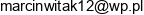 Marcin Witak Finance Consulting Email address