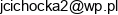 Cichocki Slawomir C S Bud Adres e-mail