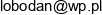 Eng In Projekt Adres e-mail