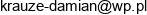 Damtech Damian Krauze Email address