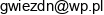 Sebastian Mielniczuk Cichy Remoncik Email address