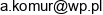 Aldona Komur Alditur Adres e-mail