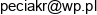 Phu Sklep Spozywczy Zloty Rog Rafal Peciak Adres e-mail