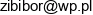 Zbigniew Kwapis Email address
