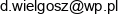 Digiserv Marcin Wielgosz Email address