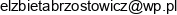 Elzbieta Brzostowicz Adres e-mail
