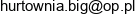 Hurtownia Big Email address