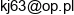 Firma Uslugowa Djk Jacek Kolodziej Email address