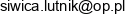 Artystyczna Pracownia Lutnicza Jacek Siwica Email address