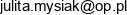 J J Admin Julita Mysiak Uslugi Ksiegowe Adres e-mail