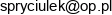 Pracownia Protetyczna Jedynka Czerska Nowak Katarzyna Email address