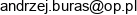 U Stolarza By Andrzej Buras Adres e-mail