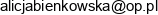 Audyt Consulting Bienkowscy I Wspolnicy Adres e-mail