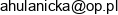 Domki Letniskowe Oses Joanna Hulanicka Email address Domki Letniskowe Oses Joanna Hulanicka Email address