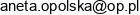 Youlia Pejzaze Wnetrz Aneta Opolska Email address