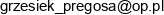 Grzegorz Snopczynski Uslugi Konsultingowo Marketingowe Email address