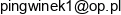 Przedsiebiorstwo Produkcyjno Uslugowo Handlowe Pingwinek Justyna Swiercz Email address