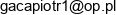 Ggtechnic Piotr Gaca Email address