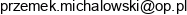 1 P M Przemyslaw Michalowski 2 Magnificent Development S C Przemyslaw Michalowski 3 Pro Giz Przemyslaw Michalowski Spolka Cywilna Email address