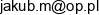 Mielczarek Jakub J M Bazzar Email address