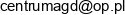 Artur Brongiel Wspolnik Spolki Cywilnej Centrum Agd Email address