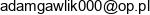 Adam Gawlik Klarox Email address