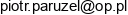 Paruzel Piotr Przedsiebiorstwo Uslugowe P P Email address