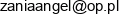 P P H U Al Kam Pracownia Kamieniarska Zaneta Alchimowicz Email address
