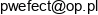 Przedsiebiorstwo Wielobranzowe Efect Email 1