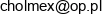 P P H U Cholmex Ryszard Cholewka Email address