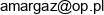 Artur Krzyzanowski Amargaz Email address