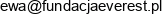 Everest Adres e-mail