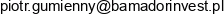 Bamador Invest Email address
