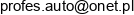 Profes Auto Zbigniew Cichecki Email address